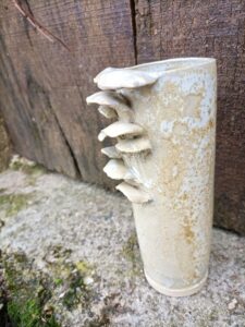 Vase céramique avec des pleurottes